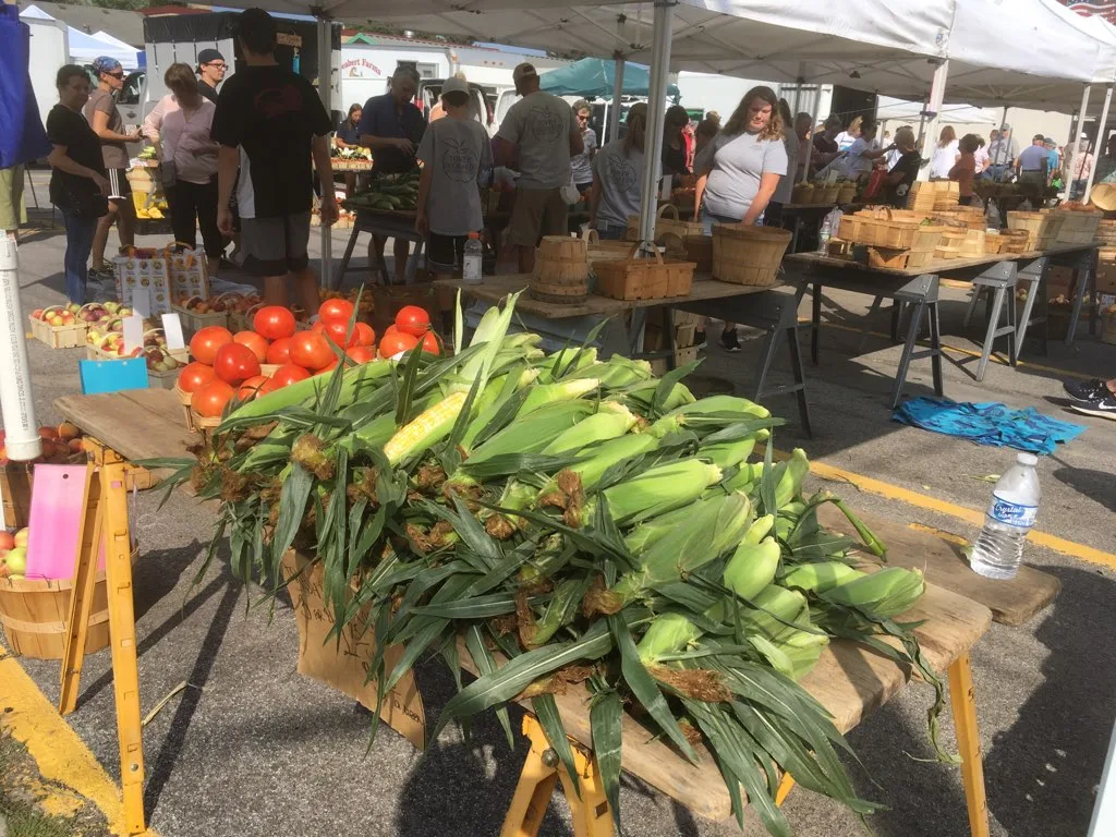 No Dogs Allowed at the Farmer’s Market in North Tonawanda