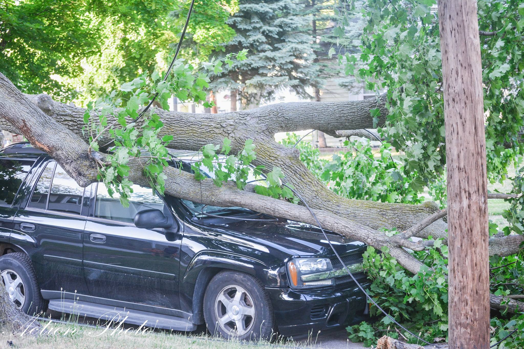THE ACTION: Massive Tree & Power Lines Down on 59th Street; Police, Forestry & National Grid on Scene