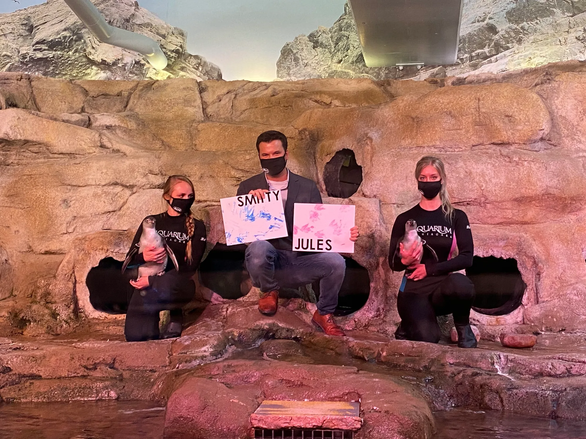 It’s a boy! And a Girl! Aquarium of Niagara Announces Penguin Chicks’ Names & Gender