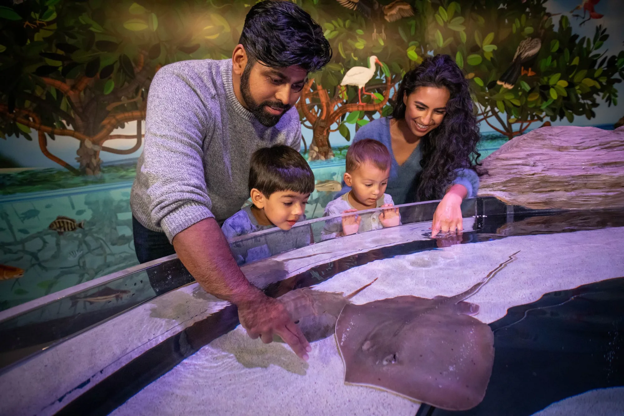 Aquarium of Niagara Announces Opening of ‘M&T Bank Shark & Ray Bay’