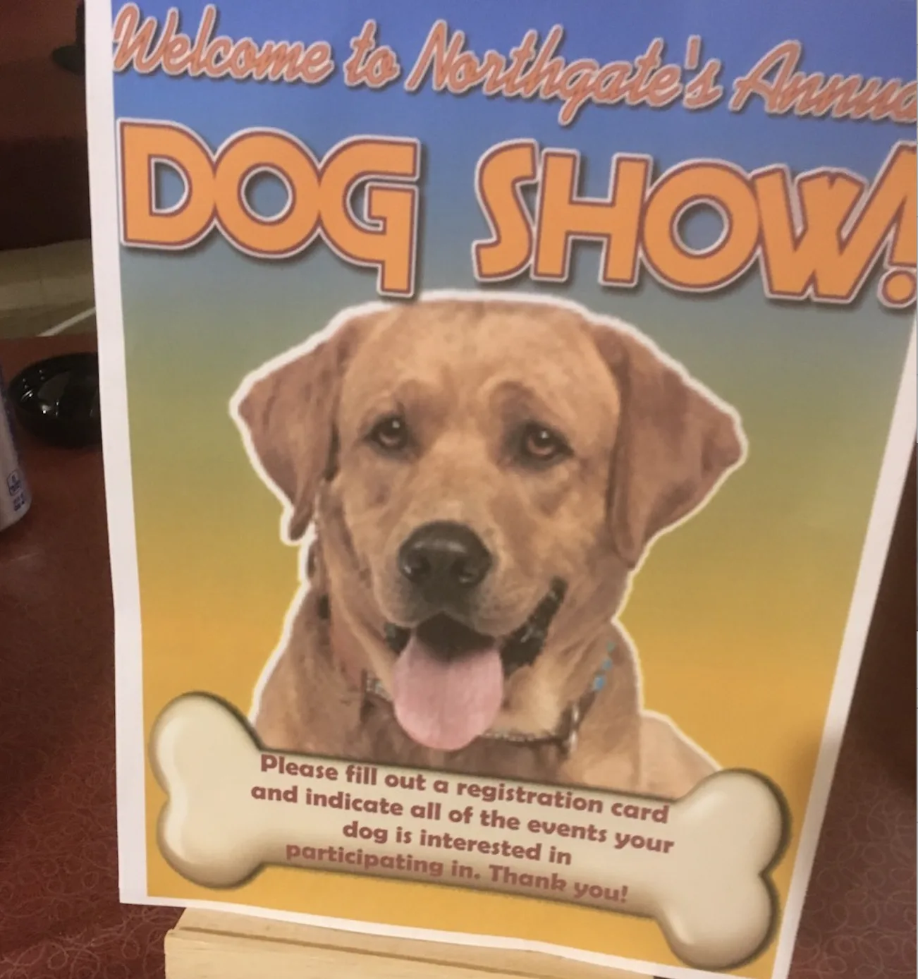 Four-legged Friends Put ‘Best Paw Forward’ at Local Dog Show