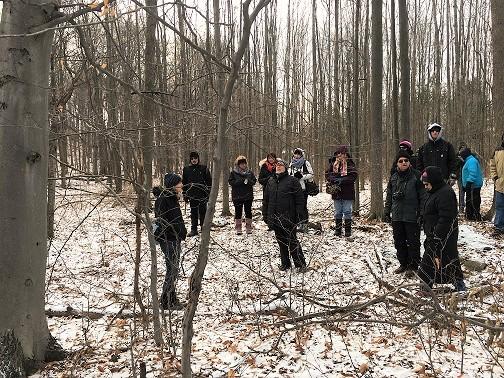 Learn to ID trees while hiking the Niagara Escarpment