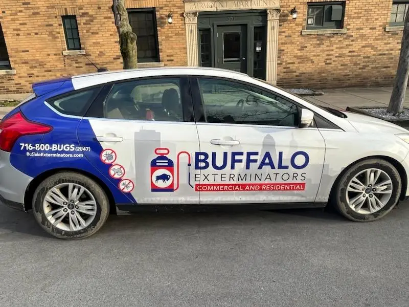 Get Rid of Bugs, Call Buffalo Exterminators