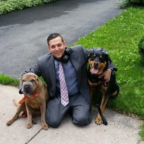 SPCA Report Contradicts Police Version of Shootings that Killed Pit Bulls in Drug Raids