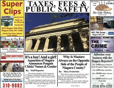 August 19th, 2020, Edition of the Niagara Reporter Newspaper