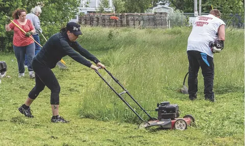 TOMPKINS: Weed Whacking Mob Hits Niagara Falls