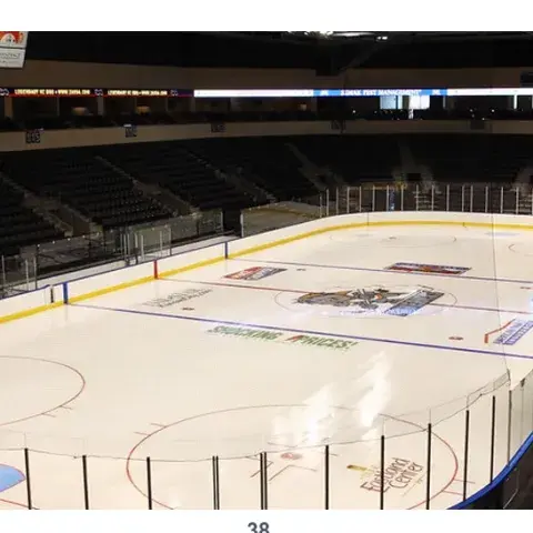 Niagara Falls Arena Study: No Author, No Team, No Truth