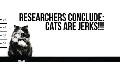 Transparency Wins Out Over Unnecessary Feral-Cat Ordinance Expediency