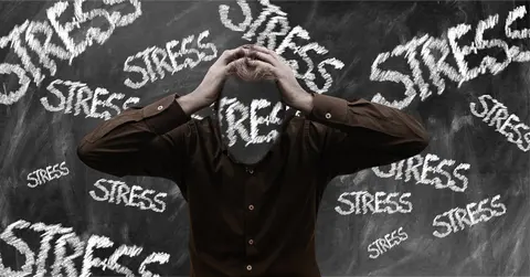 Ask Flavio: How Stress affects the Body and Mind