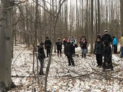 Learn to ID trees while hiking the Niagara Escarpment