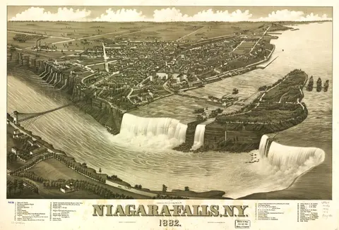 Turtle Aftermath: Giving “Buffalo Niagara” the Boot