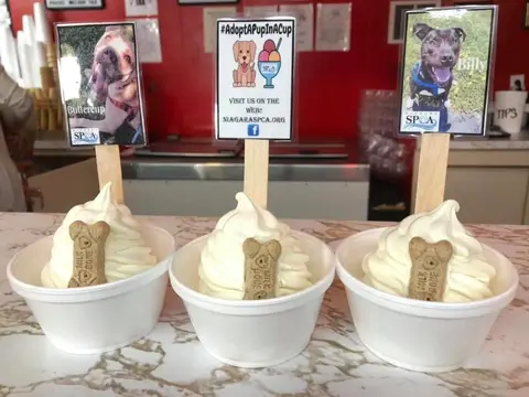 #AdoptAPupInACup: De Dee’s Dairy Puts Shelter Dogs in Ice Cream Cups to Help them Get Adopted