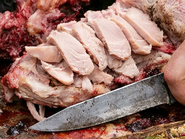 vulture breast