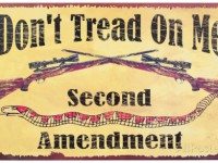 Second Amendment Watch: The Purpose of the Second Amendment against Obama’s Planned Executive Order
