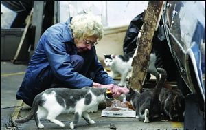 Kristen Grandinetti tried to pass a law that would put women like this one in jail for the crime she is committing: feeding stray cats. After an expose in the Reporter the proposed law unraveled as thousands of cat lovers complained.