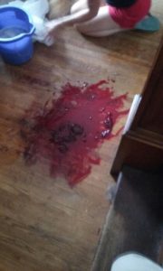 Blood soaked floor where Erie County Sheriff's Dept., on the word of a "snitch", raided the home and killed the dog of Corey Meer. Meer had no drugs and was not charged. Deputies left Meer the task of cleaning up the mess.