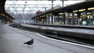 It is anticipated that the new train station will have more pigeons than riders. And that’s not counting calling Niagara Falls taxpayers “pigeons.”