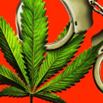 ANALYSIS: Gillibrand Stokes Misunderstanding of Marijuana Prosecution Disparities