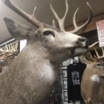 Hunting Season Safety Tips from the Niagara Outdoors Store