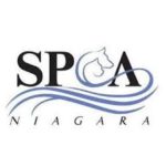 SPCA Makes Pitch to Common Council