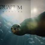 Aquarium of Niagara, a Must See Attraction, Continues to Upgrade Despite Pandemic
