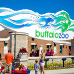 Buffalo Zoo Returns to Normal Operating Hours Beginning September 9, 2020