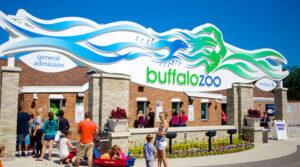 Zoomagination Returns to Buffalo Zoo - The Niagara Reporter