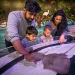 Aquarium of Niagara Announces Opening of ‘M&T Bank Shark & Ray Bay’