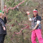Niagara Falls Residents Decorate Tree at Whirlpool State Park for the Holidays