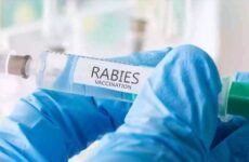 Free Rabies shots for County Residents at NT clinic