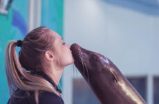 Aquarium of Niagara – A Sanctuary For Rescued Animals