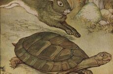 Turtle Power: Slow and Steady Wins the Race